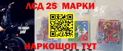 крисы Кунгур