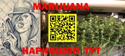 крисы Кунгур