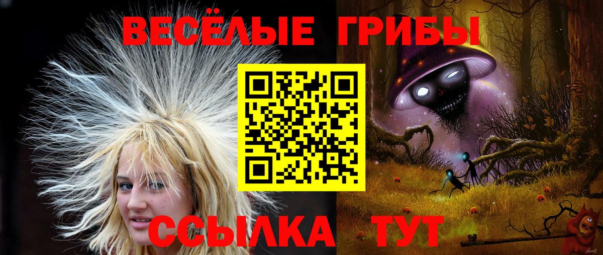 Псилоцибиновые грибы мицелий  Вход с VPN  Сочи 