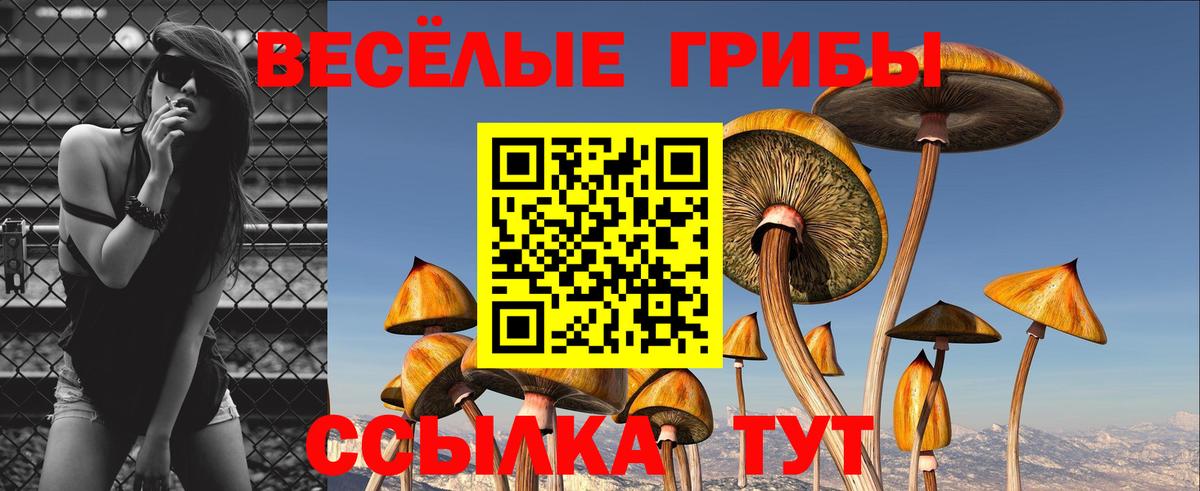 Псилоцибиновые грибы Magic Shrooms Сочи